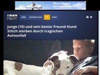 Bild zum Artikel: Junge (10) und sein bester Freund Hund Stitch sterben durch tragischen Autounfall