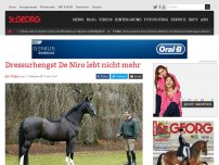 Bild zum Artikel: Dressurhengst De Niro lebt nicht mehr