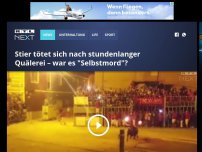 Bild zum Artikel: Stier tötet sich nach stundenlanger Quälerei – war es Selbstmord?