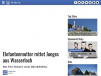 Bild zum Artikel: Elefantenmutter rettet Junges aus Wasserloch