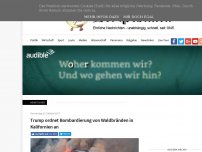 Bild zum Artikel: Trump ordnet Bombardierung von Waldbränden in Kalifornien an