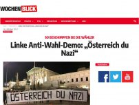 Bild zum Artikel: Linke Anti-Wahl-Demo: „Österreicher du Nazi“