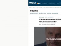 Bild zum Artikel: Baden-Württemberg: FDP-Fraktionschef nimmt AfD binnen zehn Minuten auseinander
