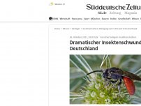 Bild zum Artikel: Dramatischer Insektenschwund in Deutschland