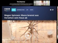 Bild zum Artikel: Wegen Spinnen: Mann brennt aus Versehen sein Haus ab