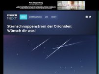 Bild zum Artikel: Sternschnuppenstrom der Orioniden: Wünsch dir was!