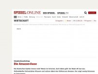 Bild zum Artikel: Umsatzsteuerbetrug: Die Amazon-Oase