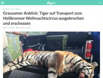 Bild zum Artikel: Grausamer Anblick: Tiger auf Transport zum Heilbronner Weihnachtscircus ausgebrochen und erschossen