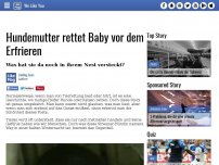 Bild zum Artikel: Hundemutter rettet Baby vor dem Erfrieren