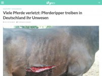 Bild zum Artikel: Viele Pferde verletzt: Pferderipper treiben in Deutschland ihr Unwesen