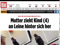 Bild zum Artikel: Video aus Liverpool - Mutter zieht Kind (4) an Leine hinter sich her