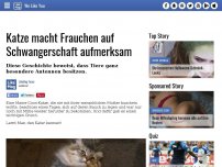 Bild zum Artikel: Katze macht Frauchen auf Schwangerschaft aufmerksam