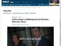 Bild zum Artikel: Grüne steigen in Wählergunst auf höchsten Wert des Jahres