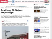 Bild zum Artikel: Richterin fällt Schock-Urteil: Sex mit Hundewelpe: Vergewaltiger geht frei