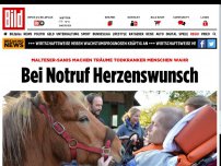 Bild zum Artikel: Malteser-Projekt - Bei Notruf Herzenswunsch