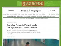 Bild zum Artikel: Polizeifahndung: Brutaler Angriff: Polizei sucht Schläger vom Alexanderplatz