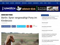 Bild zum Artikel: Berlin: Syrer vergewaltigt Pony im Kinderzoo