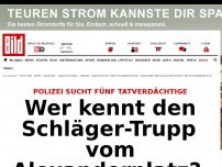 Bild zum Artikel: Fünf Tatverdächtige - Wer kennt den Schläger-Trupp vom Alexanderplatz? 