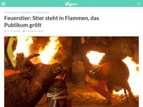 Bild zum Artikel: Feuerstier: Stier steht in Flammen, das Publikum gröhlt