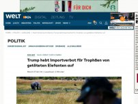 Bild zum Artikel: Trump hebt Importverbot für Trophäen von getöteten Elefanten auf