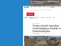 Bild zum Artikel: Bedrohte Tierart: Trump erlaubt Großwildjägern Einfuhr von Elefantenköpfen