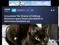 Bild zum Artikel: Grausames Tier-Drama in Freiburg: Besitzerin sperrt Katze eine Woche in Bahnhofsschließfach ein