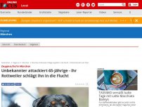 Bild zum Artikel: Zeugenaufruf in München - Unbekannter attackiert 65-Jährige - ihr Rottweiler schlägt ihn in die Flucht