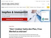 Bild zum Artikel: Jürgen Trittin: 'Herr Lindner hatte den Plan, Frau Merkel zu stürzen'