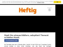 Bild zum Artikel: Statt ihn einzuschläfern, adoptiert Tierarzt schiefen Hund.