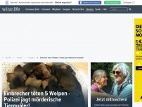 Bild zum Artikel: Einbrecher töten 5 Welpen - Polizei jagt mörderische Tierquäler!