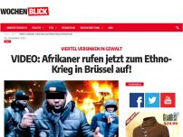 Bild zum Artikel: VIDEO: Afrikaner rufen jetzt zum Ethno-Krieg in Brüssel auf!