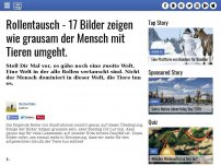 Bild zum Artikel: Rollentausch - 17 Bilder zeigen wie grausam der Mensch mit Tieren umgeht.