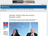 Bild zum Artikel: Umfrage: Schwarz-Blau hat erstmals Mehrheit in Wien