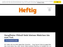 Bild zum Artikel: Vergifteter Pitbull liebt kleines Mädchen bis zum Tod.