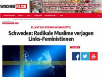 Bild zum Artikel: Schweden: Radikale Muslime verjagen Links-Feministinnen
