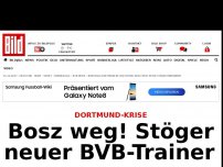Bild zum Artikel: BVB im Live-Ticker - Bosz weg! Kommt Kehl?