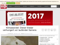 Bild zum Artikel: Klimawandel: Dieser Eisbär verhungert vor laufender Kamera