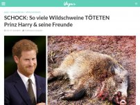 Bild zum Artikel: SCHOCK: So viele Wildschweine TÖTETEN Prinz Harry & seine Freunde