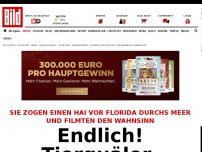 Bild zum Artikel: Hai durchs Meer gezogen - Endlich! Tierquäler-Anklage gegen die Rennboot-Idioten