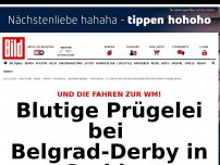 Bild zum Artikel: Und die fahren zur WM! - Blutige Prügelei bei Belgrad-Derby in Serbien