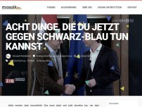 Bild zum Artikel: Acht Dinge, die du jetzt gegen Schwarz-Blau tun kannst