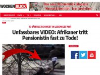 Bild zum Artikel: Unfassbares VIDEO: Afrikaner tritt Pensionistin fast zu Tode!