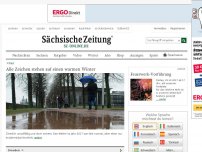 Bild zum Artikel: Flüchtling will sich mal was Schönes leisten