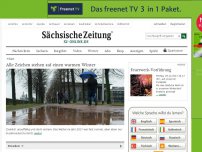 Bild zum Artikel: Kopfschütteln am Skihang