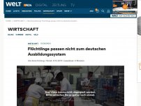 Bild zum Artikel: Flüchtlinge passen nicht zum deutschen Ausbildungssystem