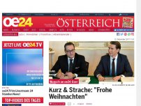 Bild zum Artikel: Kurz & Strache: 'Frohe Weihnachten'