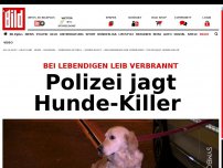 Bild zum Artikel: Lebendig verbrannt - Polizei jagt Hunde-Killer