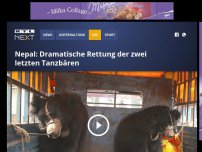Bild zum Artikel: Nepal: Dramatische Rettung der zwei letzten Tanzbären