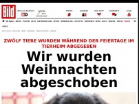 Bild zum Artikel: Zwölf Tiere abgegeben - Wir wurden nach Weihnachten abgeschoben