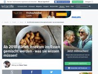 Bild zum Artikel: Ab 2018 dürfen Insekten ins Essen gemischt werden - was sie wissen müssen!